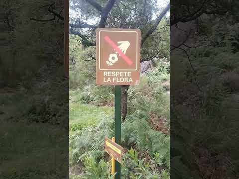 Tenés q venir a conocer los hornillos Córdoba la piedra encajada.
