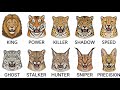 Every Big WILD Cat Explained In 9 Minutes