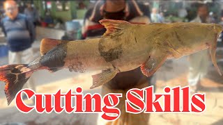 Giant Baghair Fish Cutting Skills in Village Market