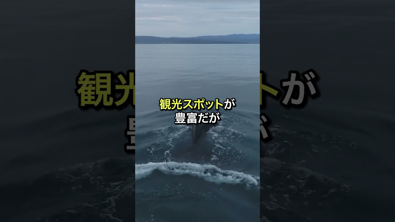 🌸 #shorts #海外の反応 #日本賞賛