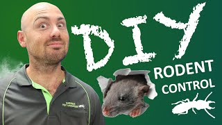 How to get rid of mice and rats (DIY Pest Control)