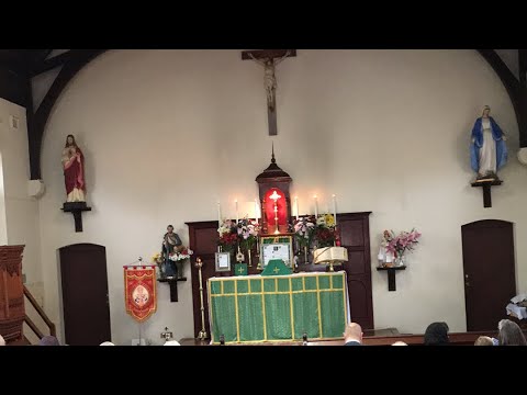 Traditional Latin Mass Sunday 9 July 2023 @St Anne’s - 6th Sunday after Pentecost