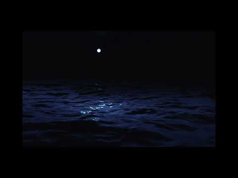 Compass - Mili (Slow + Reverb / Daycore)