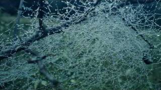 Katatonia - Forsaker (lyrics)