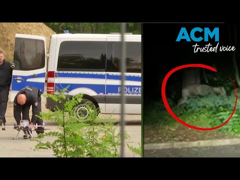 Escaped lion on the loose in Berlin as people warned it could 'attack anyone'