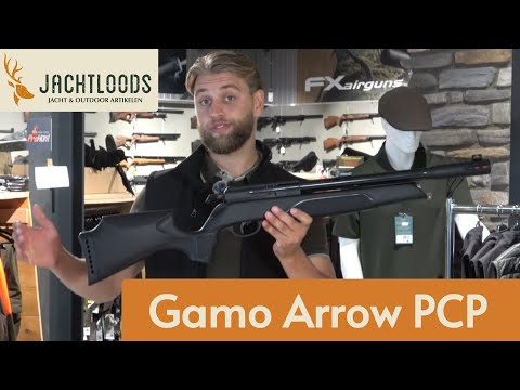 Gamo Arrow