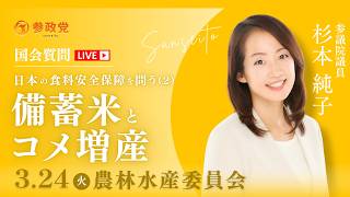 【国会中継】「日本の食料安全保障を問う 備蓄米とコメ増産」 参議院議員 杉本純子 国会質疑 令和8年3月24日 参政党