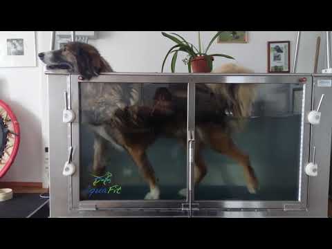 AquaFit Charly - Reha nach Kreuzbandriß heute abgeschlossen :)