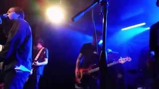 Summer's Colour / Basement / The Echo