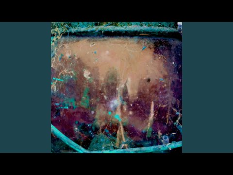 download lagu mp3 mp4 Sun Envy, download lagu Sun Envy gratis, unduh video klip Sun Envy