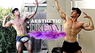 AESTHETIC DREAMS | Heavy PR's | PHYSIQUE UPDATE