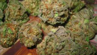 Andre Nickatina - God Gimme G&#39;s