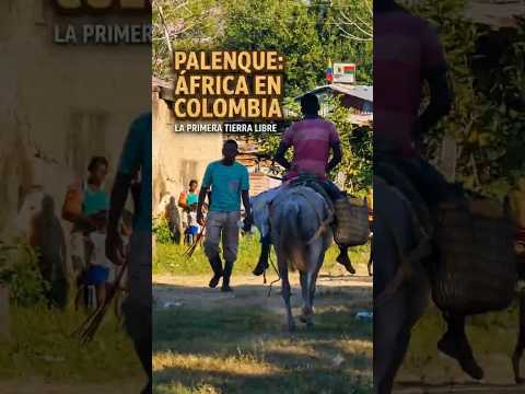 EL PRIMER PUEBLO LIBRE de AMERICA | PALENQUE - BOLIVAR  #colombia  #turismo