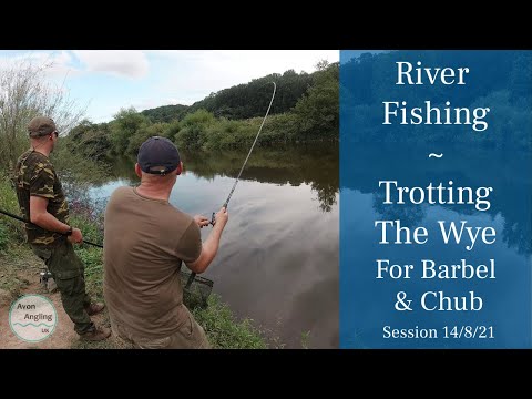 Fishing The River Wye - Trotting For Barbel & Chub - A Fantastic Session - 14/8/21 (Video 265)