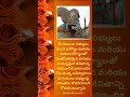 Bonalu Status 2023 Bonalu Whatsapp Status Bonalu 2023 Bonalu Wishes Happy Bonalu Wishes బోనా