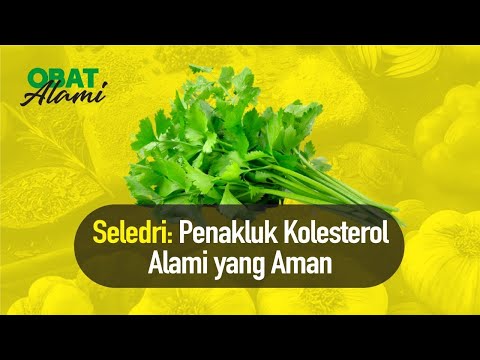 , title : 'Obat Alami Paling Baik untuk Turunkan Berat Badan, Cegah Kanker, hingga Kolesterol  | Hidup Sehat'