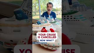 Your Cruise Is Cancelled: What Are Your Options?