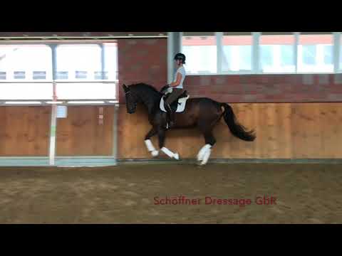 3j Wallach Van Vivaldi x Don Gregory