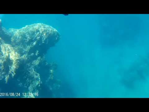 Šnorchlování v Marsa Alam Al bahr Al Ahmar