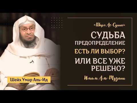 Все УЖЕ РЕШЕНО или У НАС ЕСТЬ ВЫБОР? | Предопределение | «Шарх ас-Сунна» Имама аль-Музани | Часть 5