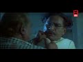 Telugu Super Hit Movie Shathruvu Telugu Full Movie