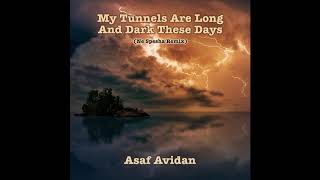 Asaf Avidan - My Tunnels Are Long And Dark These Days (Ne Spesha remix)