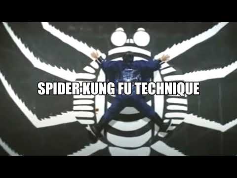 Spider Kung Fu Technique