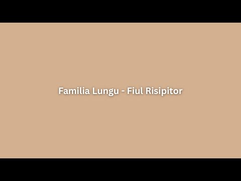 Familia Lungu - Fiul Risipitor (Cover)