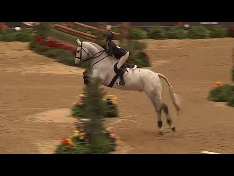 Cicerano Z video 2