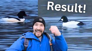 I went searching for a RARE BIRD - Something even RARER appeared!