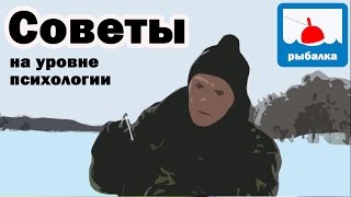 Ссылка
