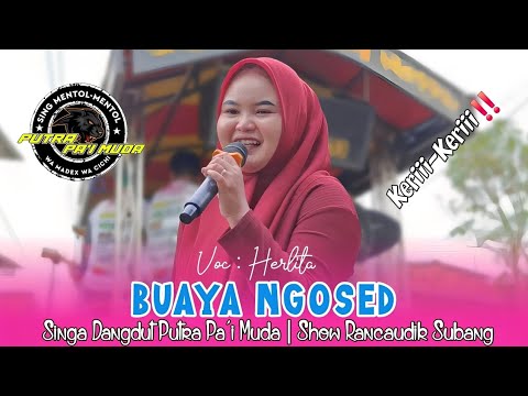 BUAYA NGOSED - VOC : HERLITA | PUTRA PA'I MUDA | SHOW RANCAUDIK SUBANG