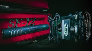 The Real G.O.A.T. of Ribbon Mics | SF-12 Royer Labs