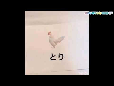 心理学科 はじめてみた韓国語ㄷ