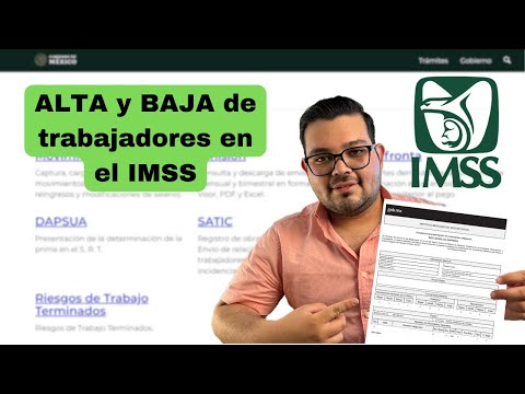Como dar de alta empleado en el IMSS