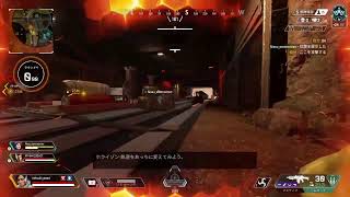 apex身内向け