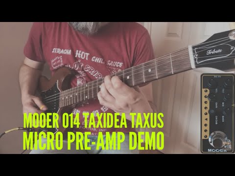 Mooer Micro Pre-amp - 014 Taxidea Taxus | Guitar Pedal Demo byJosh Gordon