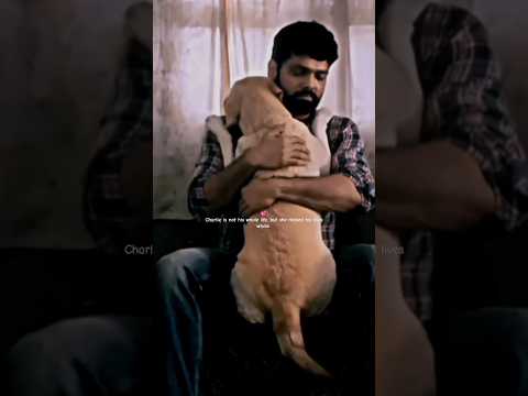 Dog and Human Bonding scene 😊❤️#shorts #dog #viral #charlie
