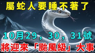 屬蛇人要睡不著了！出大事了！10月29號到31號，將迎來「颱風級」大事，再不知道就晚了！【梵心若素】#生肖 #運勢 #風水 #財運 #命理