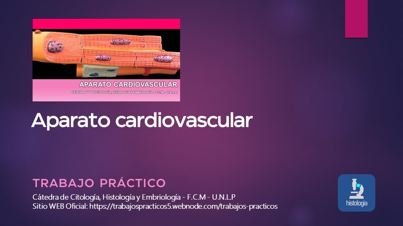 APARATO CARDIOVASCULAR - TRABAJO PRÁCTICO