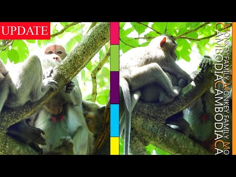 OMG : Jane Run Fast Cuz Viola Tries to Steal Milk