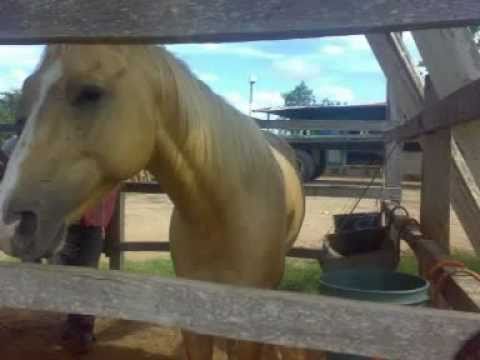 furia-juan de los santos contreras-EL CARRAO DE PALMARITO.mpg