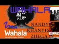 Nandy x Khanyisa x ZiiBeats - Wahala (Lyrics Music )