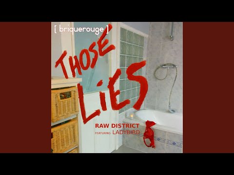 Those Lies feat. Ladybird (David Duriez Full On Acid Instrumental)