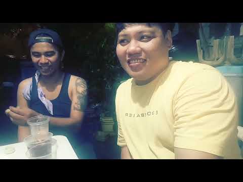 download lagu mp3 mp4 Lfb Tv, download lagu Lfb Tv gratis, unduh video klip Lfb Tv