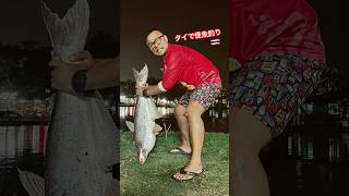 タイで怪魚パンガシウス釣り！ #fishing #釣り #thailand #ตกปลา #大魚