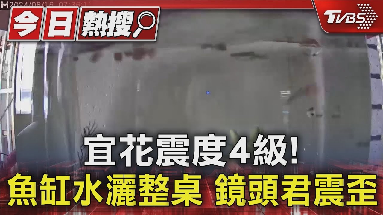宜花震度4級! 魚缸水灑整桌鏡頭君震歪