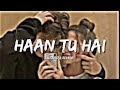 Haan Tu Hain [Slowed+Reverb] - KK ,Pritam | Jannat | Soul Music | Textaudio  | Music Lovers