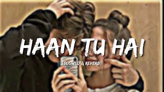 Haan Tu Hain Slowed+Reverb - KK Pritam  Jannat  So