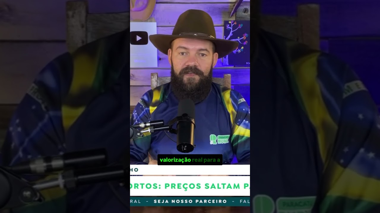 Milho nos Portos: Preços saltam para R$ 75 e animam o mercado